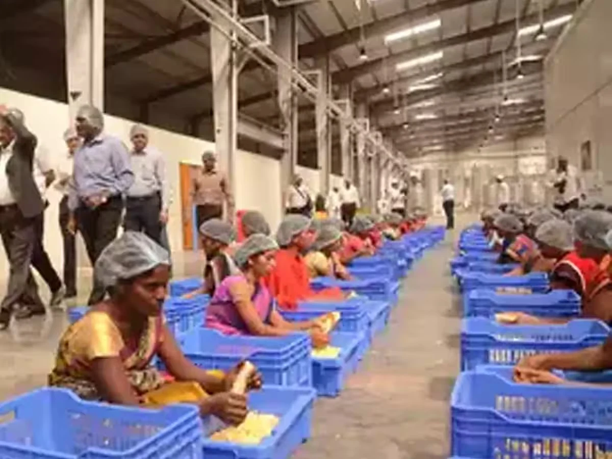Agro & Food Processing