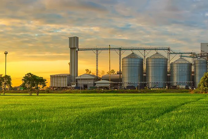 Grain storage at the field edge