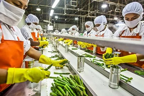 Hand-sorting and quality inspection